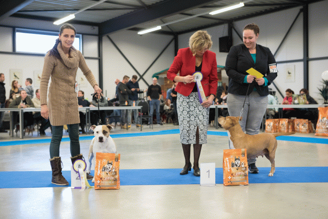 M36A0461 31306034276 O