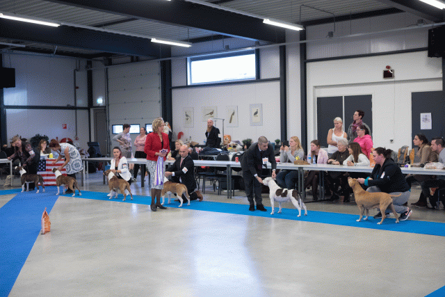 M36A0462 31342176675 O