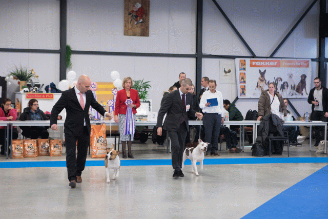 M36A0463 31342176365 O