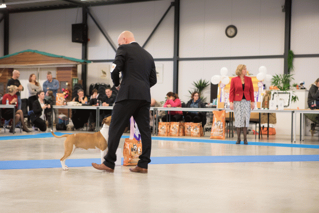 M36A0464 31306033556 O