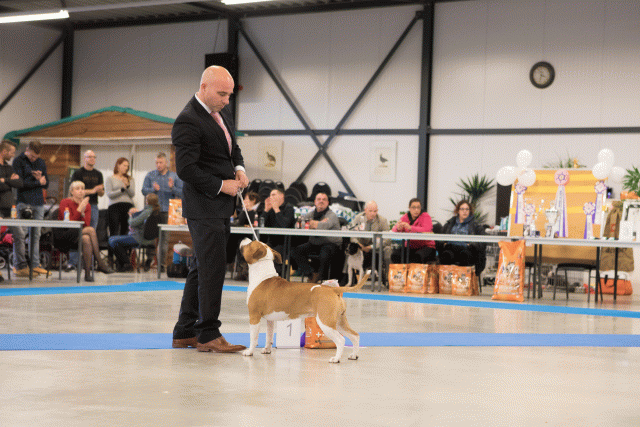 M36A0465 31198021392 O