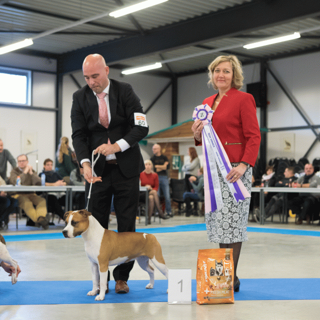 M36A0466 31342175735 O