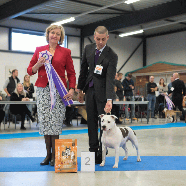 M36A0469 31342175575 O