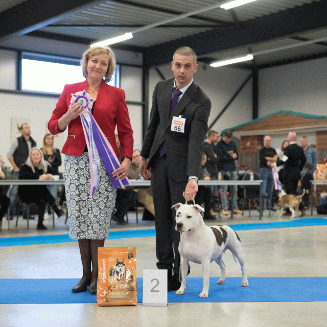 M36A0470 30534498833 O