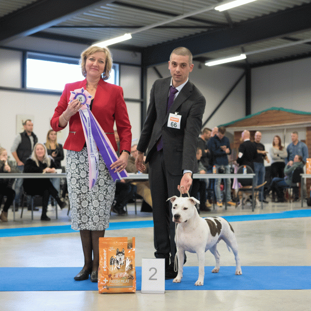 M36A0471 31198019242 O