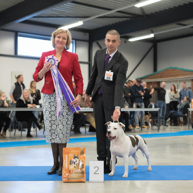 M36A0472 31306031816 O