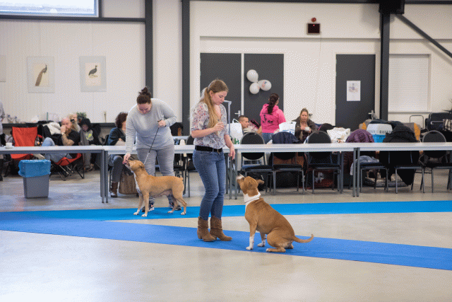 M36A0306 31342227175 O