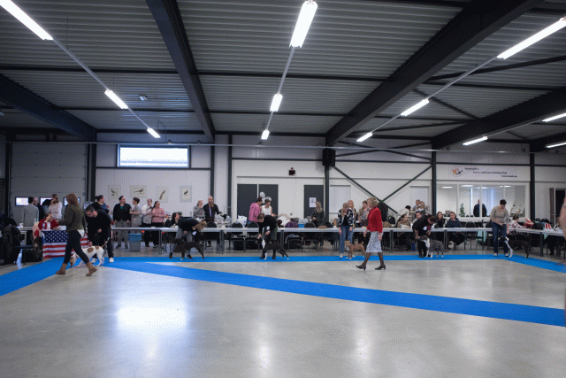 M36A0307 30973138700 O