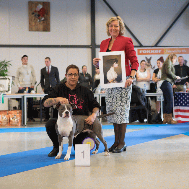 M36A0311 31306070926 O