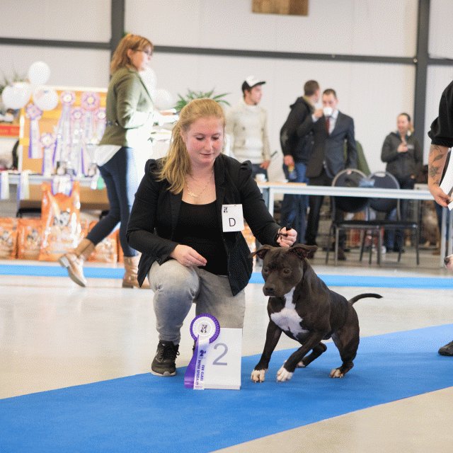 M36A0312 30973138260 O