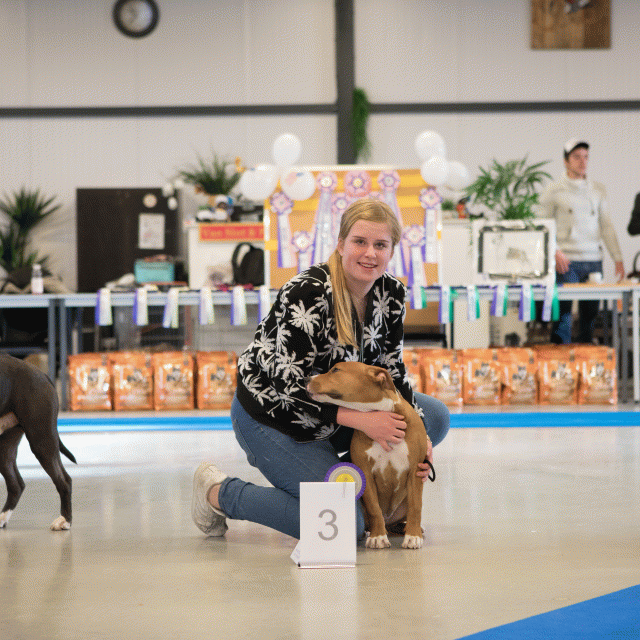 M36A0313 31306070686 O