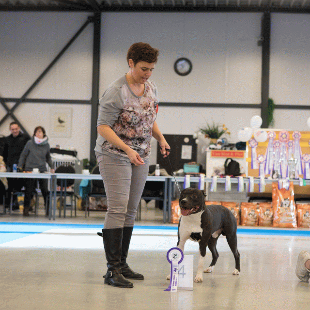 M36A0315 31306070486 O