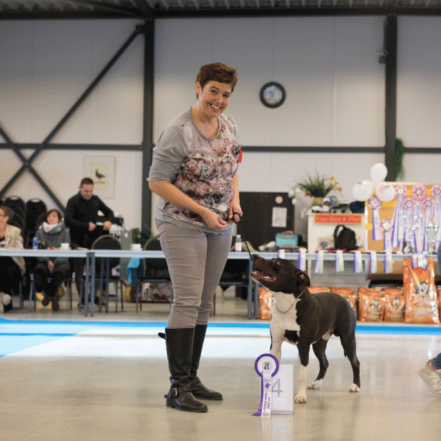 M36A0316 30973137620 O