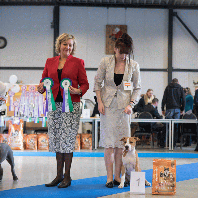 M36A0317 31306070276 O