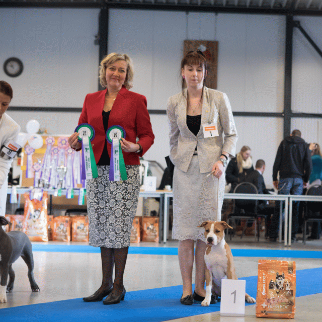 M36A0318 30973137210 O