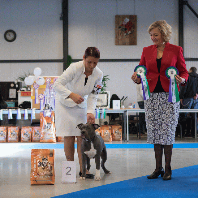 M36A0320 31342222565 O