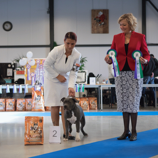 M36A0321 31306069836 O