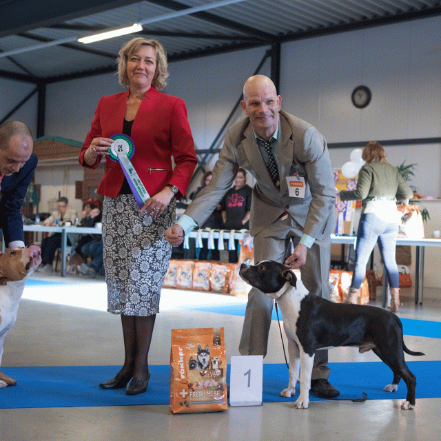 M36A0322 30973136530 O