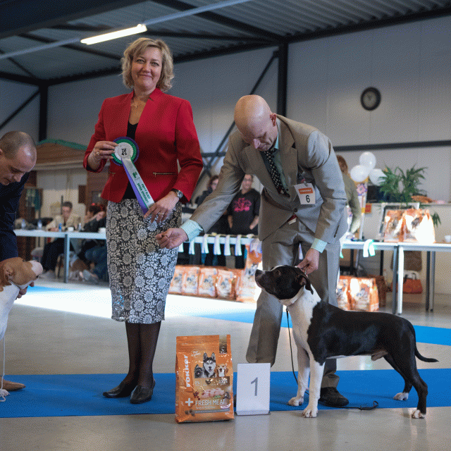 M36A0323 31342220565 O