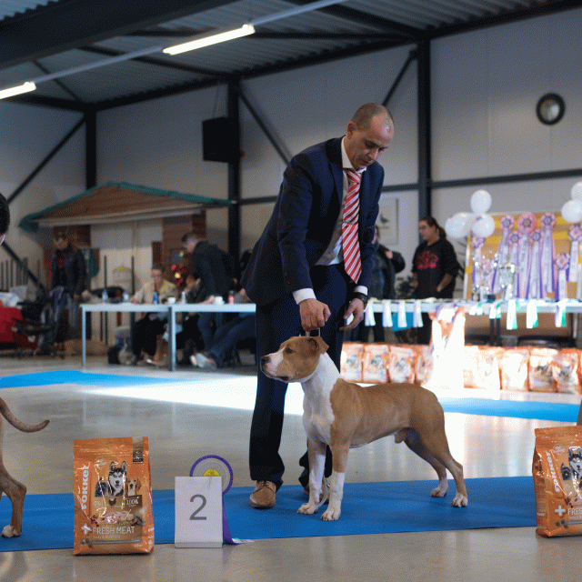 M36A0324 30973136230 O