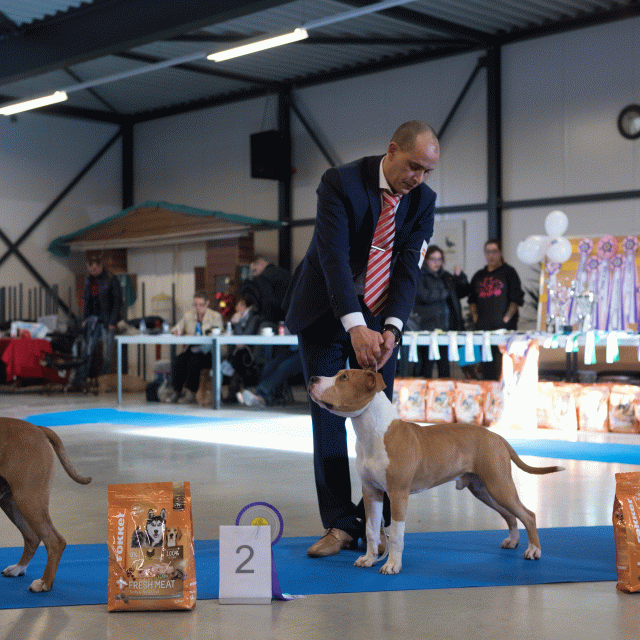 M36A0325 31342219605 O