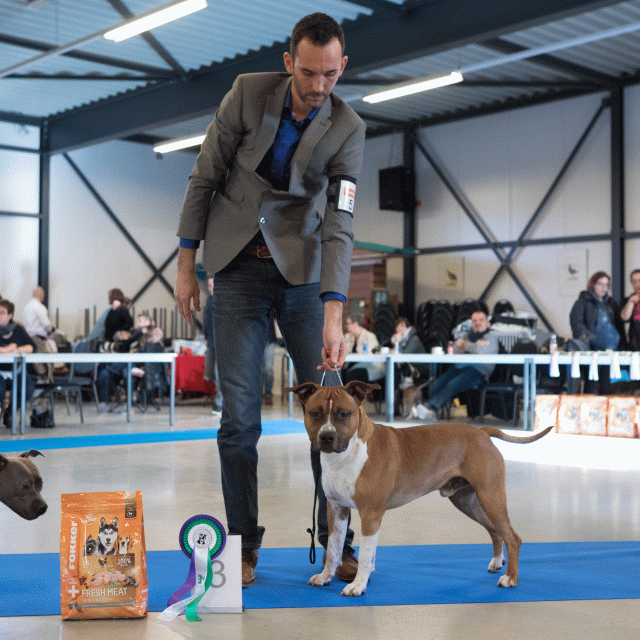 M36A0326 30973135760 O