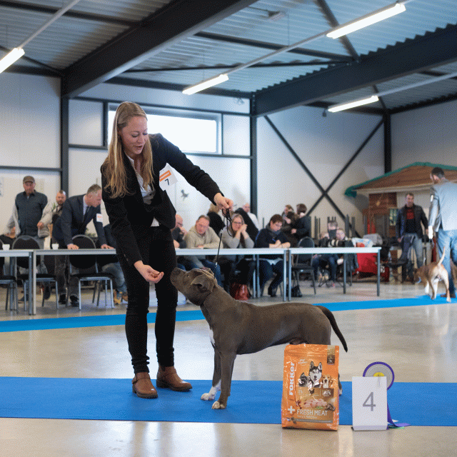 M36A0328 31342218485 O