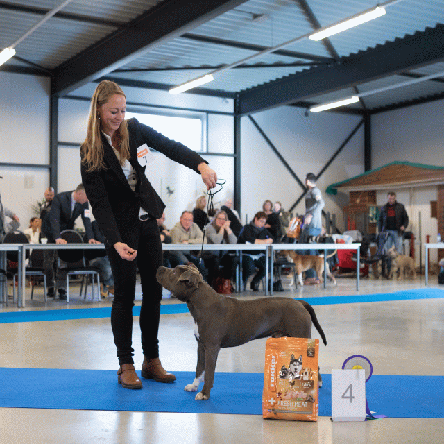 M36A0329 31342218345 O