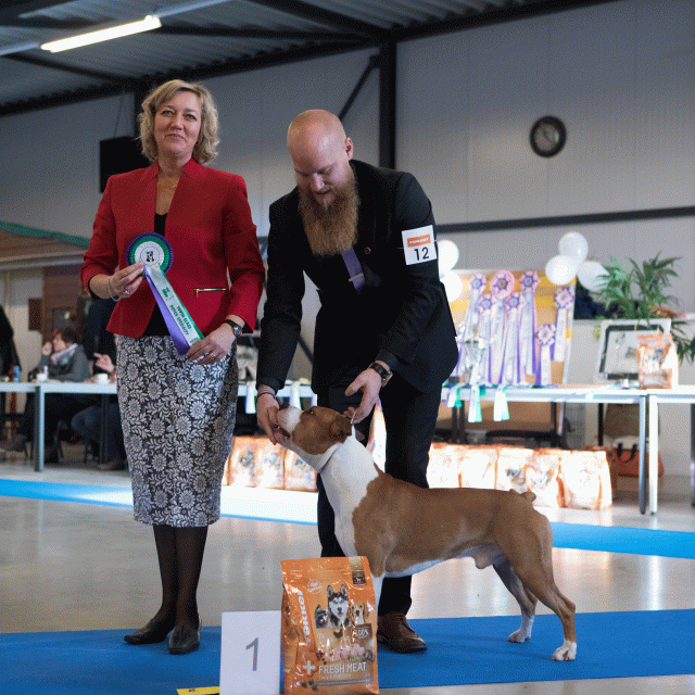 M36A0330 31306068626 O