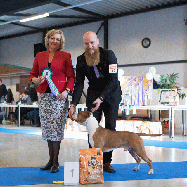 M36A0331 31342217735 O