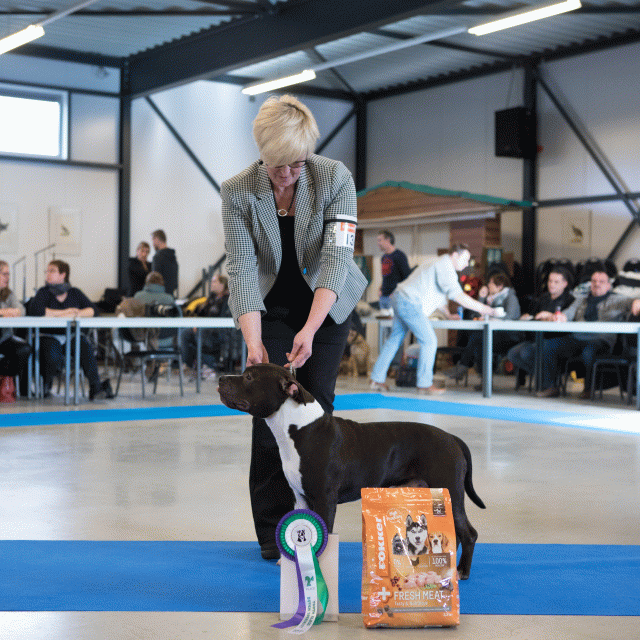 M36A0332 31227289031 O