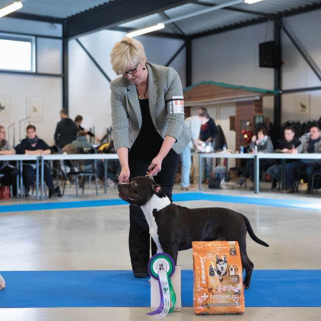 M36A0333 31306068286 O