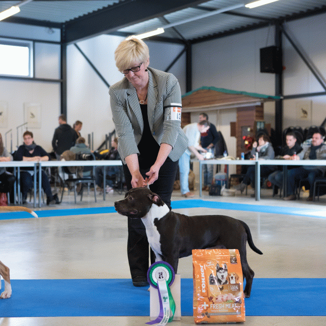 M36A0334 31227288031 O