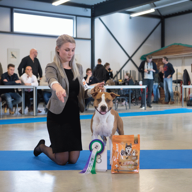 M36A0335 31227287651 O