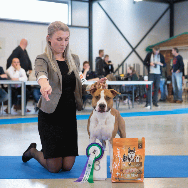 M36A0336 31227287091 O