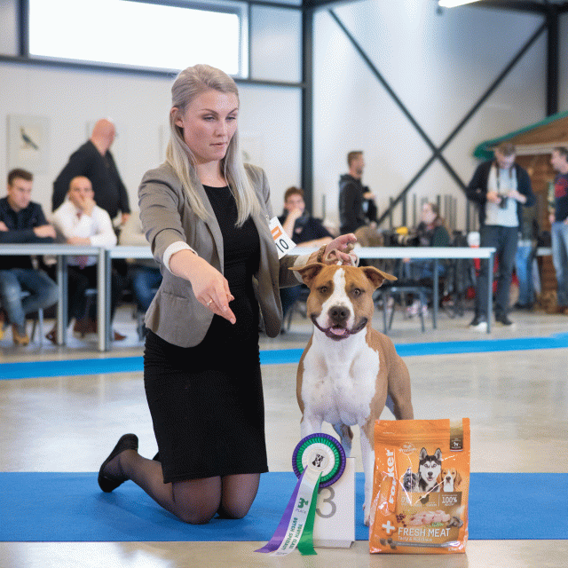 M36A0337 30534531623 O