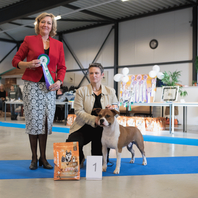 M36A0338 31227286981 O