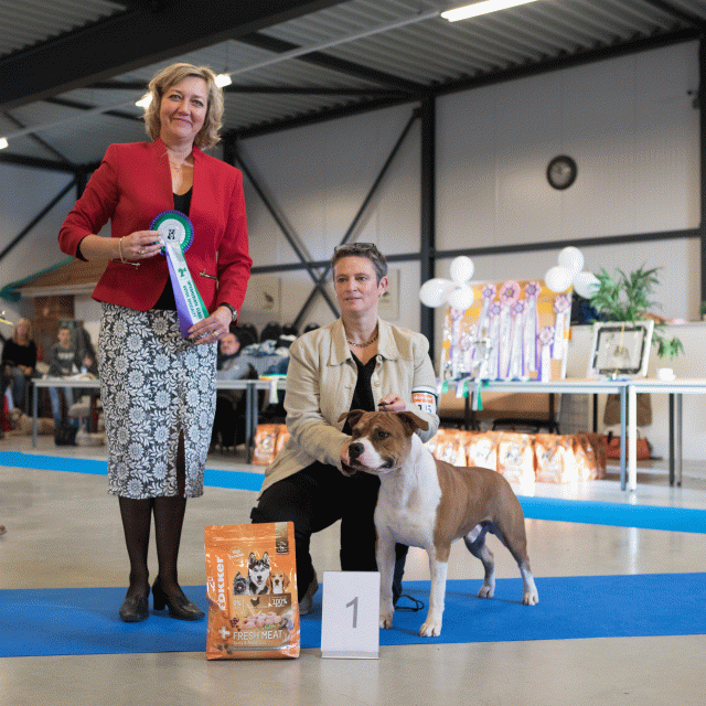 M36A0340 31227284521 O