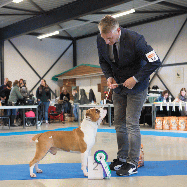 M36A0341 31227284121 O