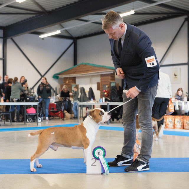 M36A0342 31227283701 O