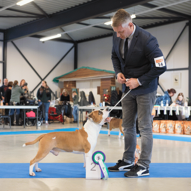 M36A0343 31306067436 O