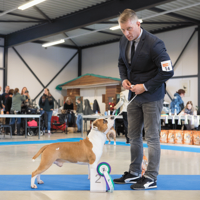 M36A0344 31227282961 O