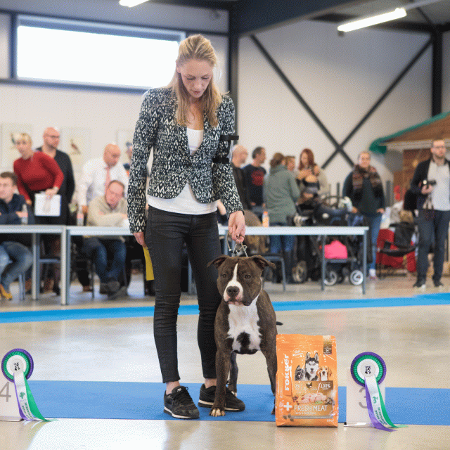 M36A0345 31227282791 O