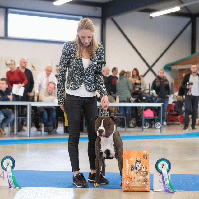 M36A0346 31227282261 O