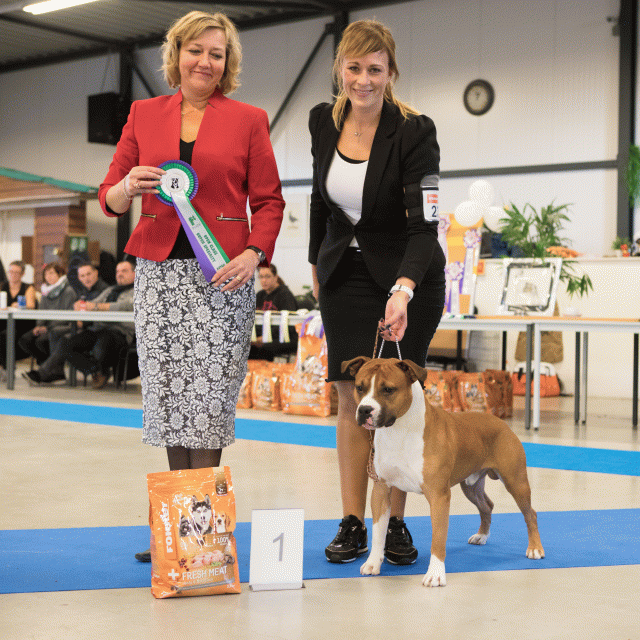 M36A0347 31227284861 O