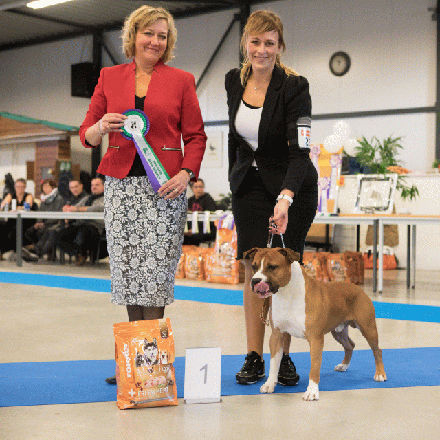 M36A0348 31198052712 O