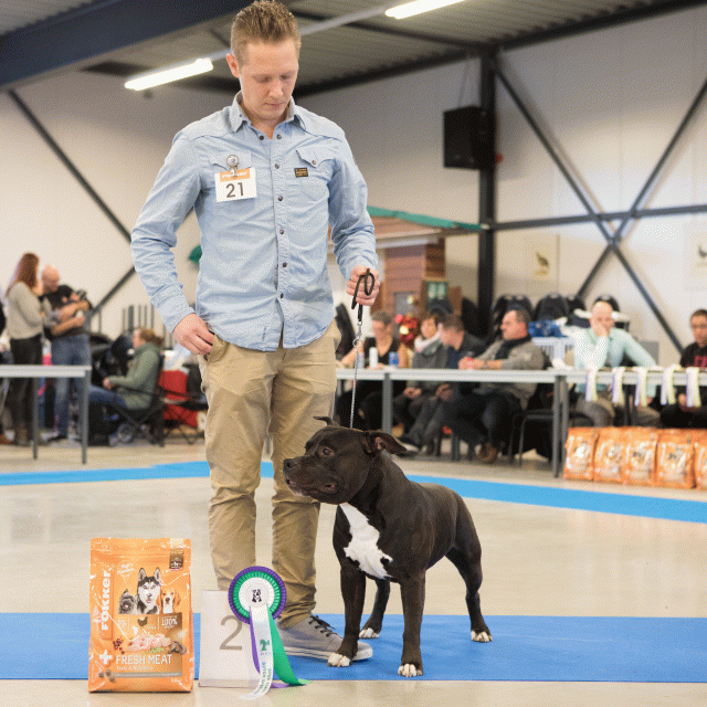 M36A0350 31198052172 O