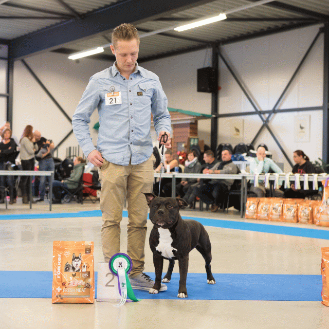 M36A0351 31227280951 O