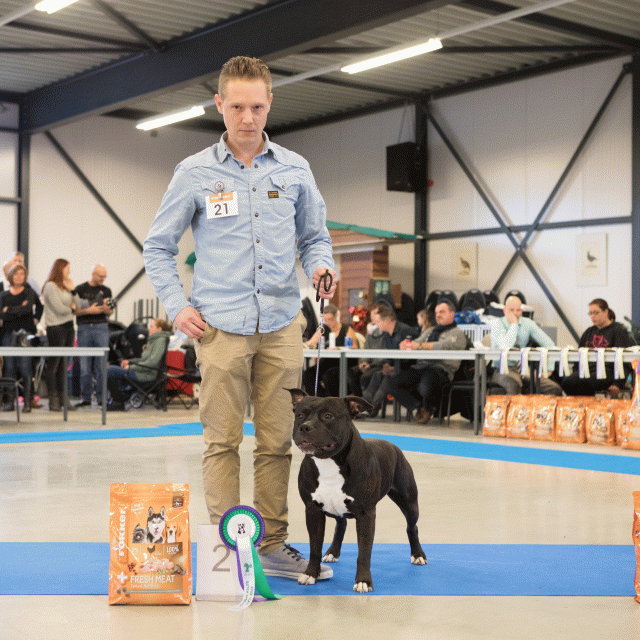 M36A0352 31227280181 O