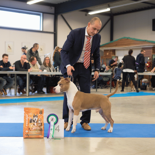 M36A0354 31227278511 O